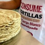 Tortilla de sorgo blanco reduce costos y mejora nutrición en Tamaulipas