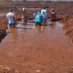 Playas de Quintana Roo en alerta roja por arribo de sargazo