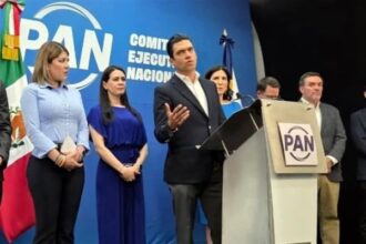 INE ordena al PAN retirar publicaciones calumniosas contra Morena