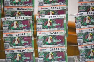 Pato Merlín será imagen de billete conmemorativo de Lotería Nacional