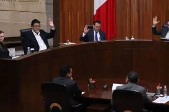 TEPJF avala negativa del INE a partido por falta de afiliados