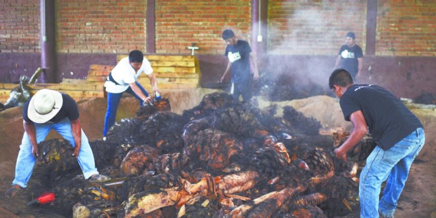 Mezcal impulsa economía y exportaciones en 118 municipios de Puebla
