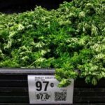 EU investiga brote de cyclospora sin fuente identificada