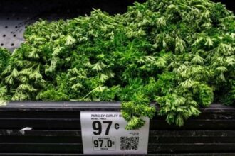 EU investiga brote de cyclospora sin fuente identificada