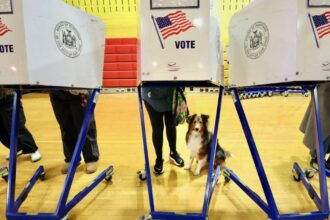 Elecciones intermedias en EE. UU. 2026: fecha y cargos clave