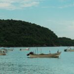 Bahía Sur: gastronomía y playas en la Riviera Nayarit