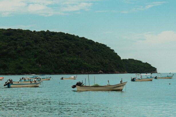 Bahía Sur: gastronomía y playas en la Riviera Nayarit