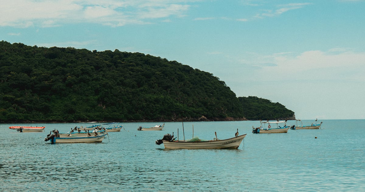 Bahía Sur: gastronomía y playas en la Riviera Nayarit