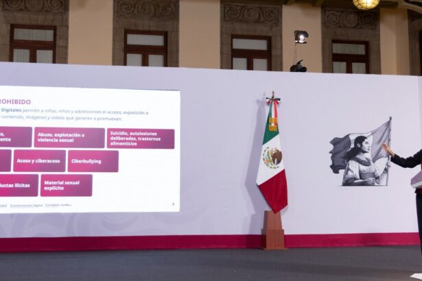 Gobierno prohíbe contenido violento para menores en plataformas