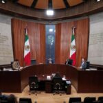 TEPJF ordena al INE filtrar padrones para observadores 2027