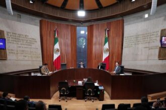 TEPJF ordena al INE filtrar padrones para observadores 2027