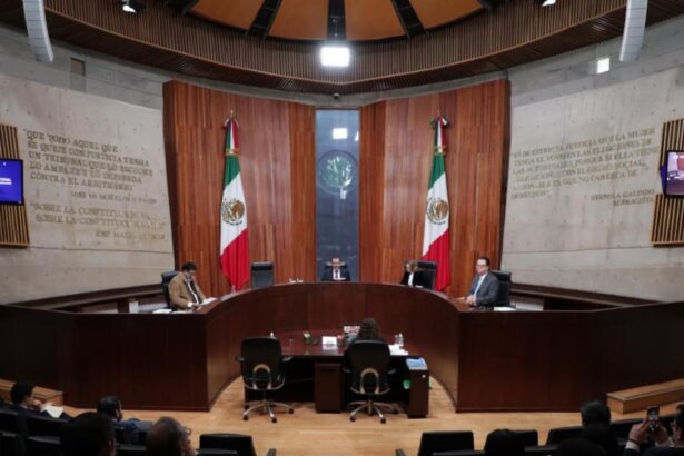 TEPJF ordena al INE filtrar padrones para observadores 2027